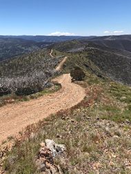 Blue Rag Range Track Blue Rag Range Track